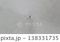 Adventurous Skier and Dog Freeride Off-Piste in Fresh Deep Powder Snow 138331735