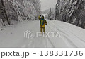 Adventurous Freeride Skiing Through Deep Powder Snow in a Winter Forest Off-Piste 138331736