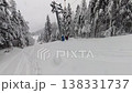 Skiers Enjoying Deep Fresh Powder Snow During an Off-Piste Freeride Adventure in a Snowy Forest 138331737
