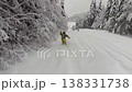 Thrilling Off-Piste Skiing Through Deep Powder Snow in a Serene Winter Forest 138331738