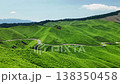 The fresh greenery of Aso as seen from the Hakoishi Pass observation deck. 138350458