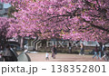 Unrecognizable Japanese people walk under blooming sakura trees in spring. People crowd stroll through park watching pink cherry blossoms, enjoying hanami. Cherry blossom season in Japan culture 138352801