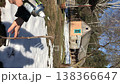 a woman is pruning a sapling. she treats the cut with garden pitch from a sprayer. close-up. vertical video. 138366647