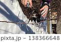 a woman treats cuts on a sapling. using garden pitch from a sprayer. she accidentally gets it on her hand. spring pruning of garden trees. vertical video. 138366648