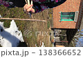 a woman is pruning a sapling. she treats the cut with garden pitch from a sprayer. vertical video. close-up. 138366652