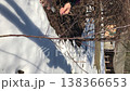 a woman is pruning a sapling. she cuts off excess branches from the tree with secateurs. vertical video. 138366653