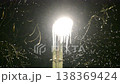 A brightly lit street lamp at night. Icy tree branches and shimmering snowflakes are visible around. A snowstorm, blizzard, and winter chill. A cold atmosphere. 138369424