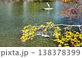 The pond in Suizenji Jojuen Garden, where spring water flows. 138378399