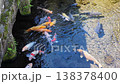 The pond in Suizenji Jojuen Garden, where spring water flows. 138378400