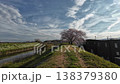 Cherry tree and Meitetsu train 138379380
