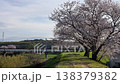 Cherry tree and Meitetsu train 138379382
