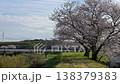 Cherry tree and Meitetsu train 138379383