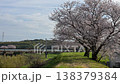 Cherry tree and Meitetsu train 138379384