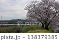 Cherry tree and Meitetsu train 138379385