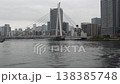 [4K/Tripod Mounted] Morning on the Sumida River: A view of the urban waterfront with soaring black-headed gulls and the Chuo Ohashi Bridge. 138385748