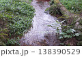 山口縣－淺溪潺潺流水：清澈的溪水流過鬱鬱蔥蔥的綠樹，水面波光粼粼。 138390529