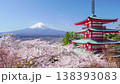 [Yamanashi Prefecture, Fujiyoshida City] A spectacular view of Arakurayama Sengen Park in spring: Mount Fuji, the Chureito Pagoda, and cherry blossoms in full bloom can be seen from the observation deck. 138393083