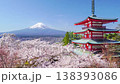 [Yamanashi Prefecture, Fujiyoshida City] Springtime view of Arakurayama Sengen Park: Mt. Fuji, Chureito Pagoda, and cherry blossoms against a blue sky. 138393086