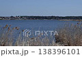 The surface of Lake Teganuma stretches out beyond the reed beds. 138396101