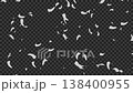 影片畫面展現了白色羽毛飄落的柔和效果。 138400955