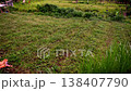 Picturesque Dense green tropical jungle, far in the background blue sea and low clouds 138407790