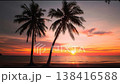 ヤシの木と夕暮れの動画 138416588