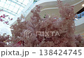Slow smooth camera move across pink floral decoration with butterfly elements in modern shopping mall atrium under skylight. Spring interior, retail and festive decor 138424745