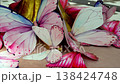 Slow camera pan across decorative pastel butterfly sculptures arranged around golden base indoors under soft lighting. Art installation, design decor and exhibition concept 138424748