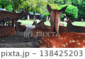 Daytime view of wild sika deer resting under trees as visitors walk on grass in Nara Park, Nara, Japan. Warm tones and shallow depth of field set a calm mood. 138425203