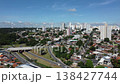 Aerial panning shot from city skyscrapers to Botanical Garden forest 138427744