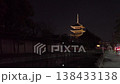 A video taken while walking around and enjoying the illuminations at Toji Temple. 138433138