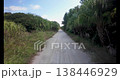 鏡頭從綠樹環繞的道路上下搖攝至藍天。 138446929