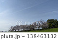 Spring in Osaka: Fresh greenery and cherry blossom trees in full bloom along the Yodo River embankment. 138463132