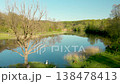 Beautiful aerial forest scene in summer. Green trees and river on sunny day. Vilnius, Lithuania. 138478413