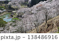 満開の桜（吉四六ランド・臼杵市・pan） 138486916