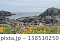 「青森県」渚に花咲く初夏の種差海岸の風景 八戸市 「青森県」渚に花咲く初夏の種差海岸の風景 八戸市 138510250
