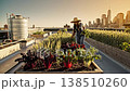 Woman looks after city garden. Sunset illuminates city skyline as woman tends crops on roof 138510260