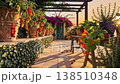 Sunset terrace lined with tomatoes and bougainvillea under pergola, terracotta pots and ivy edging stone tiles, chef harvesting fresh 138510348