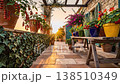Sunset terrace lined with tomatoes and bougainvillea under pergola, terracotta pots and ivy edging stone tiles, chef harvesting fresh 138510349