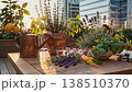 Sunlit balcony table with herbs and watering can, lavender and rosemary in terracotta pots, golden sunlight warming wooden table, city 138510370