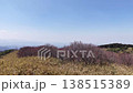 Aerial view of the Osaka Plain from the summit of Mt. Yamato Katsuragi. 138515389