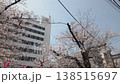 城市摩天大樓與盛開的櫻花：東京辦公區的春天，街景，商業區的櫻花。 138515697