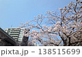 城市摩天大樓與盛開的櫻花：東京辦公區的春天，街景，商業區的櫻花。 138515699