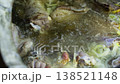 Large meat chunks boiling in broth in huge ancient cauldron for pilaf 138521148