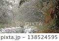 Silent Snowy Forest Trail in Misty Taiping Mountain Taiwan Winter 138524595