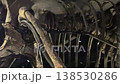 Close up details of large dinosaur skeleton 138530286