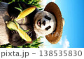 熊貓雙手捧著收割的玉米的CG影像（垂直螢幕影片） 138535830