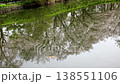 A fixed image of cherry blossom trees in full bloom reflected on the water's surface, with koi carp swimming gently. 138551106