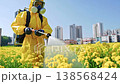 Agricultural worker in a yellow hazmat suit and respirator mask spraying pesticide or herbicide on a bright yellow rapeseed field with a modern city skyline in the background on a sunny day 138568424