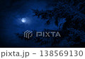 Large Evergreen Tree With Moon In The Distance 138569130